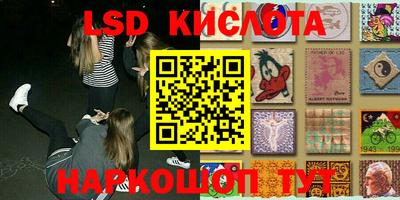 шишки Бузулук