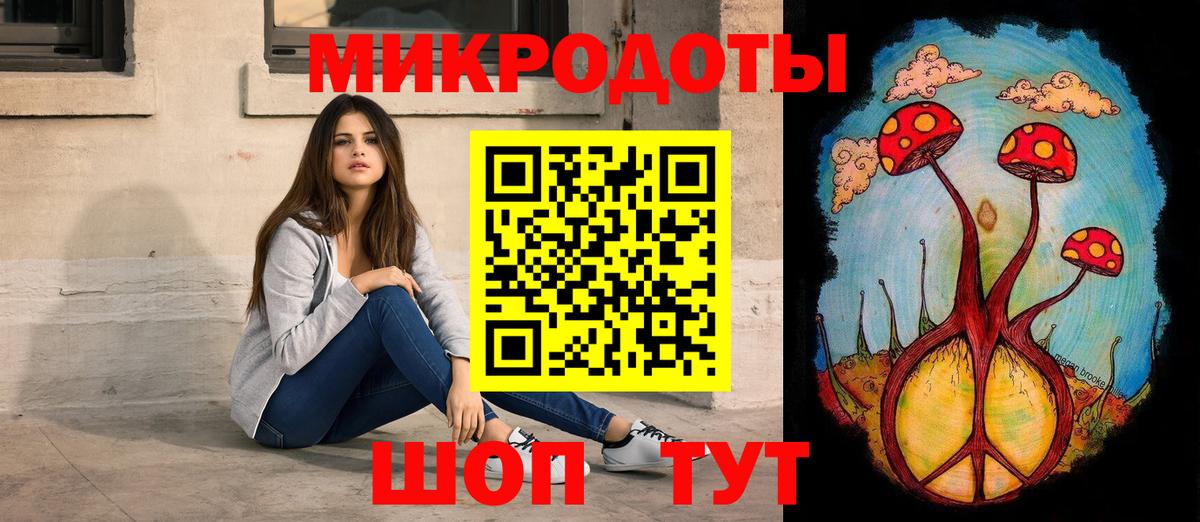 Псилоцибиновые грибы Psilocybe Мичуринск