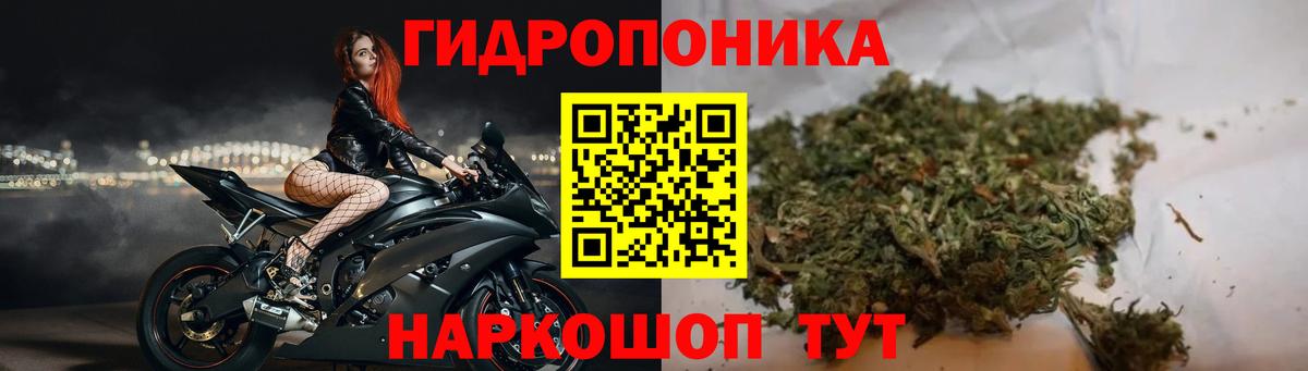 Конопля ГИДРОПОН  Вход с VPN  Мичуринск  Марихуана AK-47 